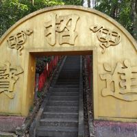 評論圖片 2