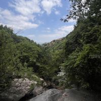 評論圖片 7