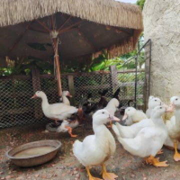 評論圖片 6