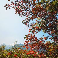 評論圖片 6