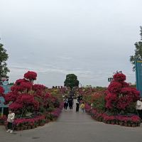 評論圖片 3