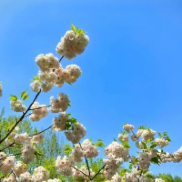 評論圖片 8