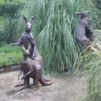 評論圖片 1