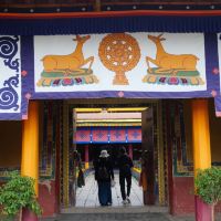 評論圖片 3
