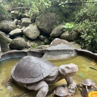 評論圖片 6
