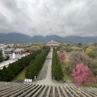 評論圖片 3
