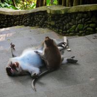 評論圖片 4