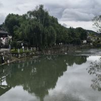 評論圖片 8