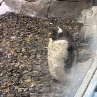 評論圖片 8