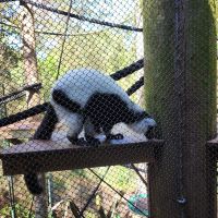 評論圖片 2