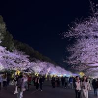 評論圖片 1