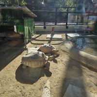 評論圖片 3