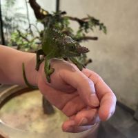 評論圖片 2