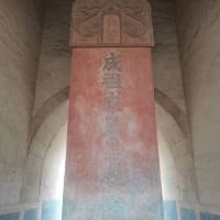 評論圖片 8