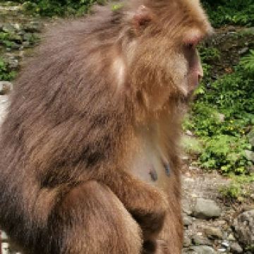 評論圖片 7