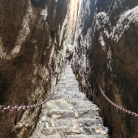 評論圖片 5