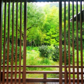評論圖片 3