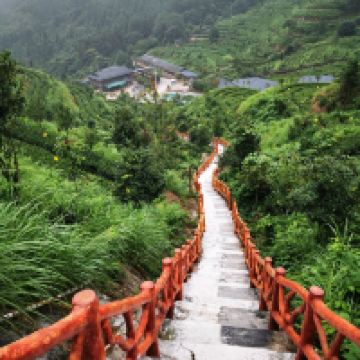 評論圖片 6