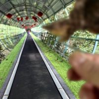 評論圖片 7