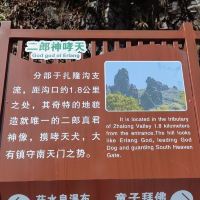 評論圖片 3