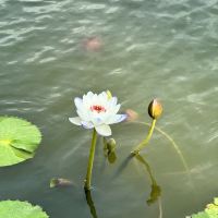 評論圖片 8