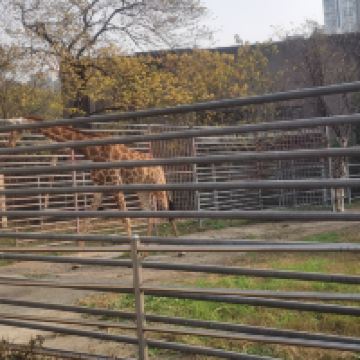 評論圖片 7