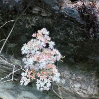 評論圖片 9
