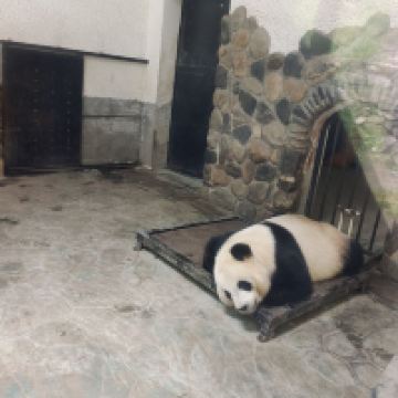 評論圖片 2