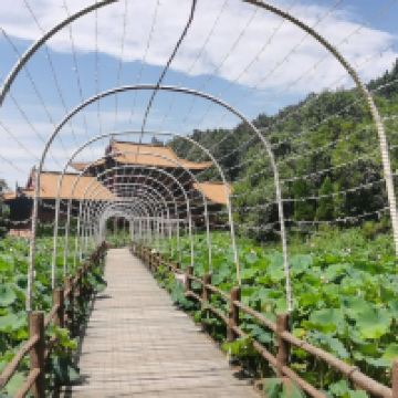 評論圖片 8