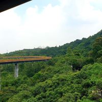 評論圖片 7