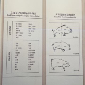 評論圖片 1