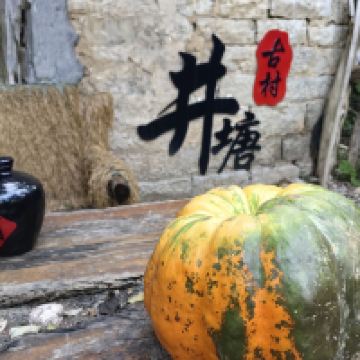 評論圖片 9