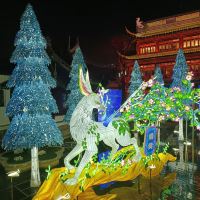 評論圖片 5