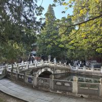 評論圖片 1