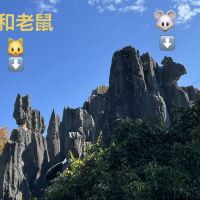評論圖片 4