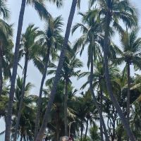 評論圖片 3