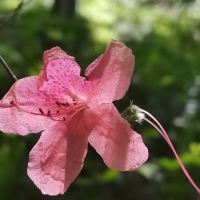 評論圖片 6