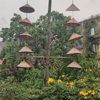 評論圖片 6