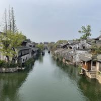 評論圖片 1