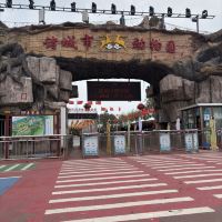 評論圖片 5