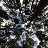 評論圖片 5