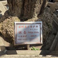 評論圖片 7