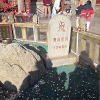評論圖片 1