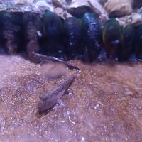評論圖片 1