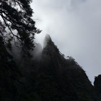 評論圖片 3