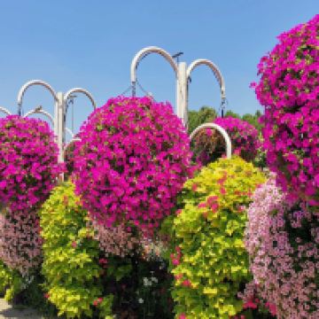 評論圖片 7