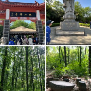 評論圖片 1