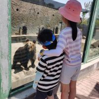 評論圖片 7