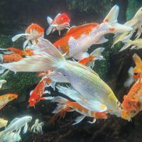 評論圖片 7
