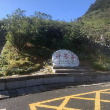 評論圖片 2